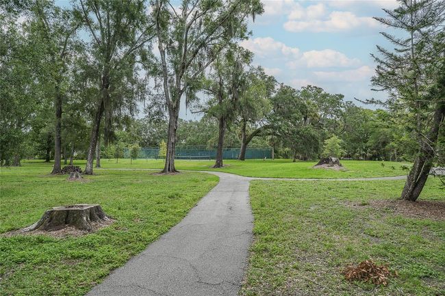 walking area in park | Image 45