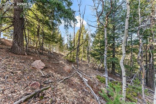 728 Little Topsey Drive, Cripple Creek, CO, 80813 | Card Image