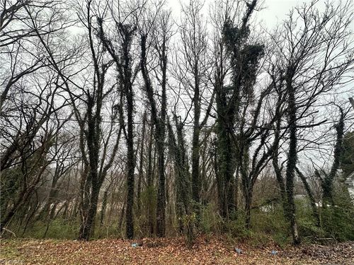 00 Short Morgan St, Eden, NC, 27288 | Card Image