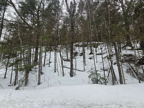 107 Balsam Chutes Rd, Port Sydney, ON, P0B1L0 | Card Image