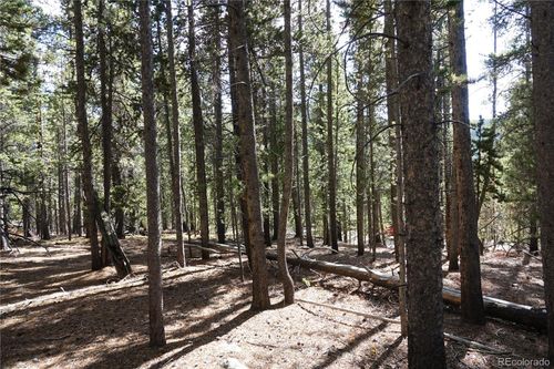 000 Loch Lomond Rd & Vista Rd, Idaho Springs, CO, 80452 | Card Image