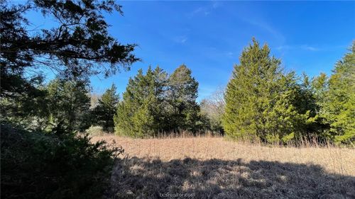 TBD Cr 269 And Cr 270 (+/-19.88 Ac), Bremond, TX, 76629 | Card Image