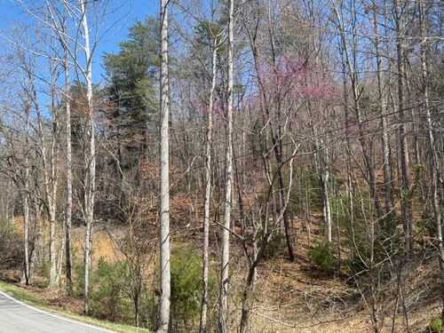 000 Narrow Passage Rd, Eagle Rock, VA, 24085 | Card Image