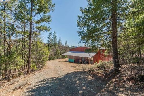 321 Black Bear Rd, Weaverville, CA, 96093 | Card Image