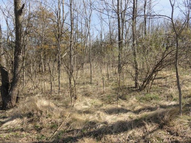 10.45 Acres Ringhand Rd, Home with 0 bedrooms, 0 bathrooms and null parking in SYLVESTER WI | Image 31