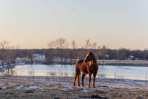 189 Nautilus Ct, Decatur, TX, 76234-6828 | Card Image