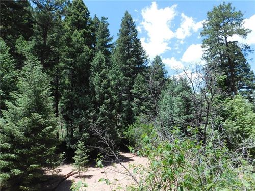 13175 Spruce Creek Cir, Larkspur, CO, 80118-6643 | Card Image