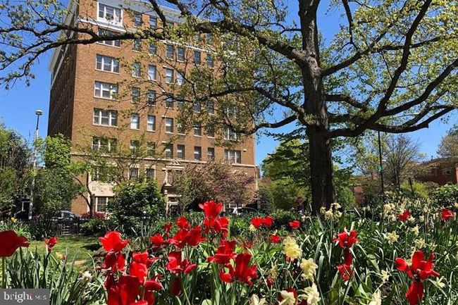 APT-304 - 1621 T St Nw, Condo with 1 bedrooms, 1 bathrooms and null parking in WASHINGTON DC | Image 23