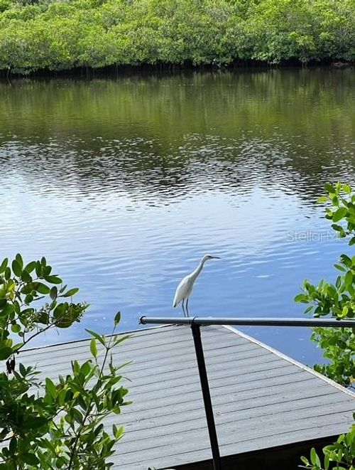 5275 Miller Bayou Dr, PORT RICHEY, FL, 34668-6224 | Card Image