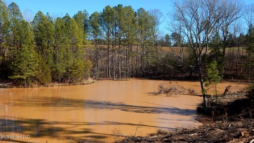 732 Graysport Crossing Rd, Gore Springs, MS, 38929 | Card Image