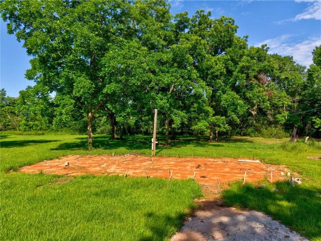 View of green lawn | Image 7
