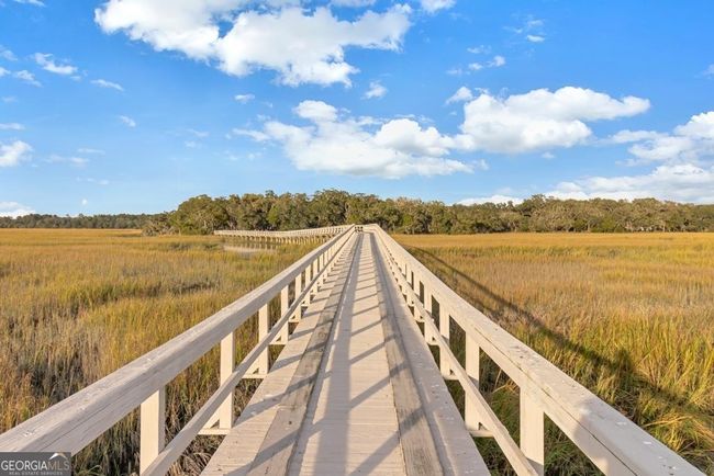 LOT-71 - 0 Coopers Point Dr Ne, Home with 0 bedrooms, 0 bathrooms and null parking in Townsend GA | Image 10