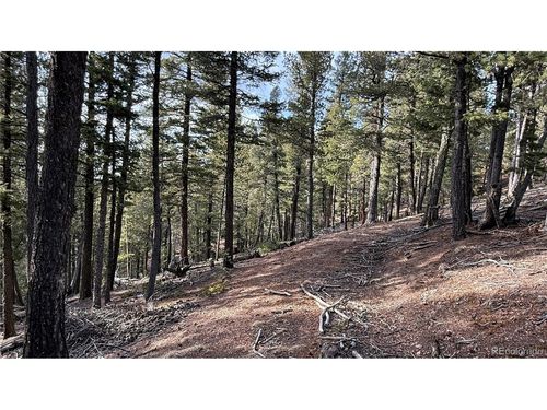 461 Paradiso Rd, Divide, CO, 80814-8200 | Card Image