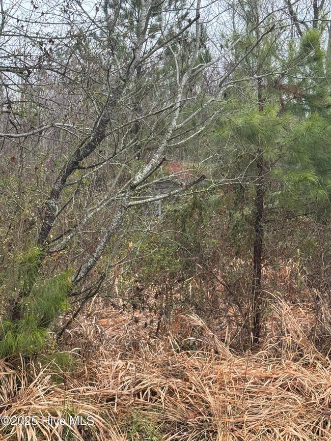 894 Swamp Road, Home with 0 bedrooms, 0 bathrooms and null parking in Pantego NC | Image 9