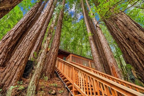 1741 Gold Gulch Rd, Felton, CA, 95018 | Card Image