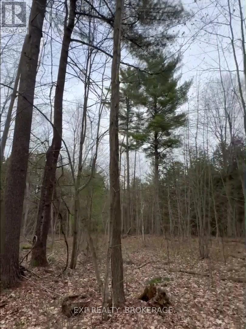 Land in Frontenac (Frontenac South) 3