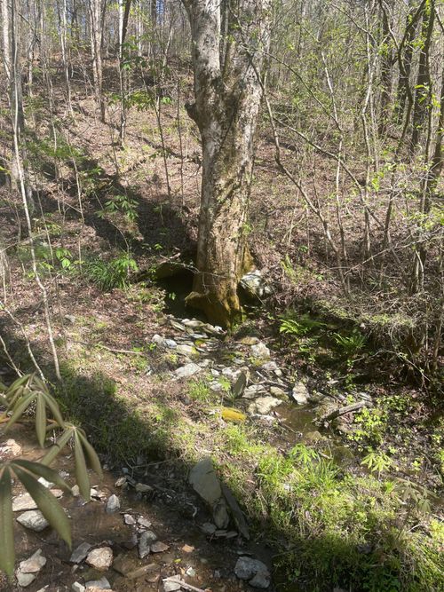 1 Old Furnace Rd, Tellico Plains, TN, 37385 | Card Image