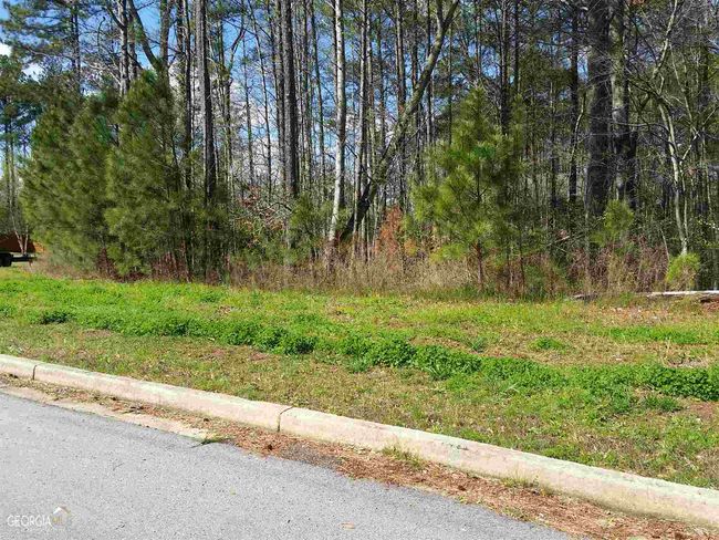 LOT-6 - 0 Shawnee Trl, Home with 0 bedrooms, 0 bathrooms and null parking in Dallas GA | Image 8