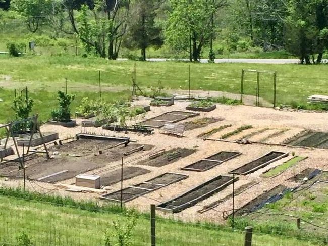 Fenced ¼ acre ready for your own personal or market garden with outdoor hydrant, plus additional deer fenced 3/4 acre perfect for fruit or nut trees | Image 18