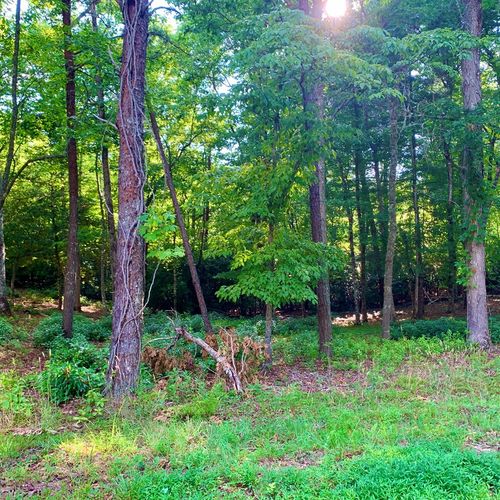 Lot 19 Brasstown, Brasstown, NC, 28902 | Card Image