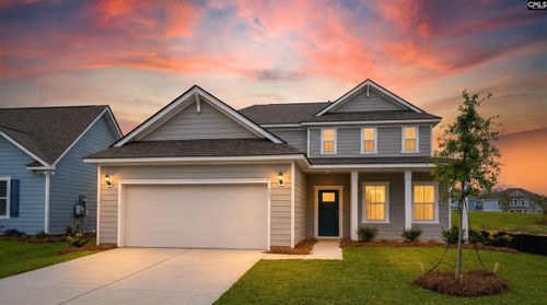 117 Monroe Preserve Drive, Chapin, SC, 29036 | Card Image