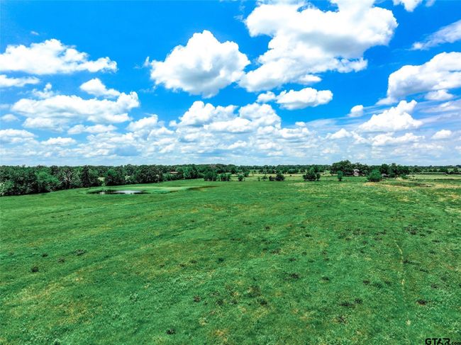 20 Acres County Road 3533, Home with 0 bedrooms, 0 bathrooms and null parking in Saltillo TX | Image 19