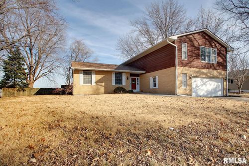 208 Birch St, Ursa, IL, 62376-1052 | Card Image