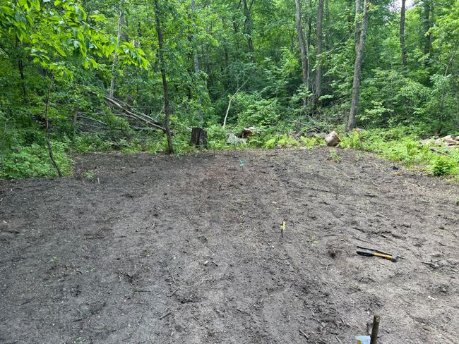 Garden | Image 40