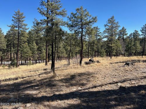 10 County Road 2193, Alpine, AZ, 85920 | Card Image