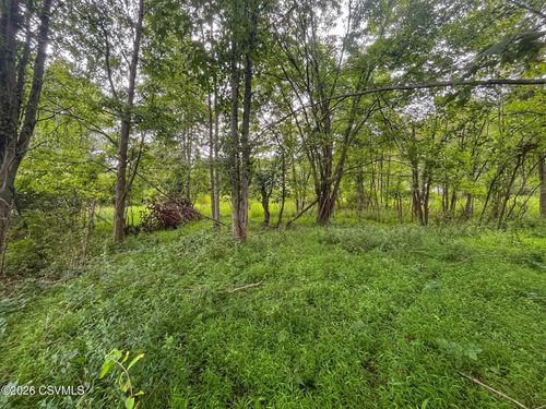 LOT 1 Snydertown Road, Danville, PA, 17821 | Card Image