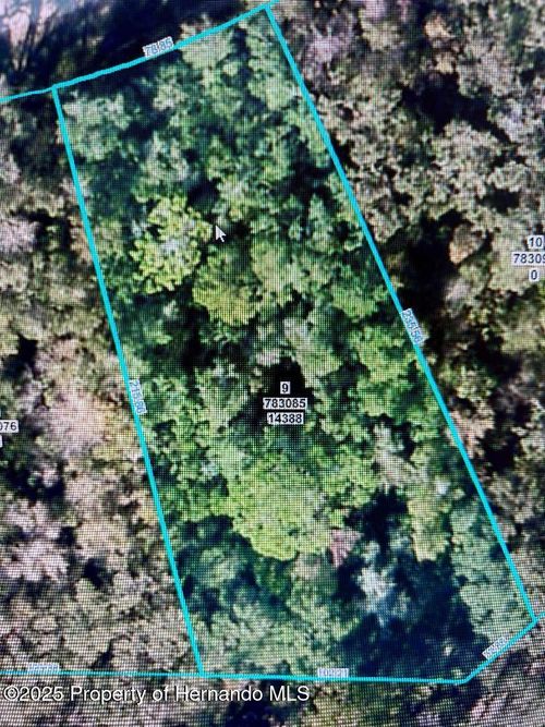 14388 Chimney Swift Rd, WEEKI WACHEE, FL, 34614-1656 | Card Image