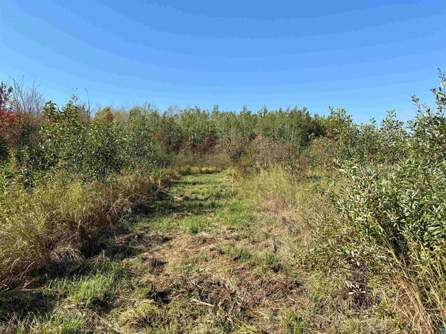 4030 North Rd, House other with 2 bedrooms, 1 bathrooms and null parking in Moose Lake MN | Image 27