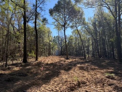 0 Danner Rd, Wilmer, AL, 36587 | Card Image