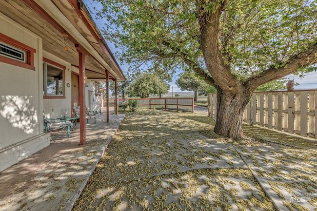 Concrete courtyard with shade tree | Image 37