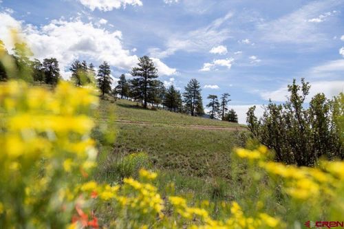 645 Cliff View Drive, Creede, CO, 81130 | Card Image