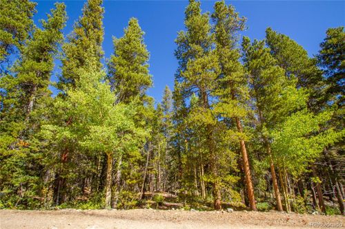 154 Georges Way, Alma, CO, 80420 | Card Image
