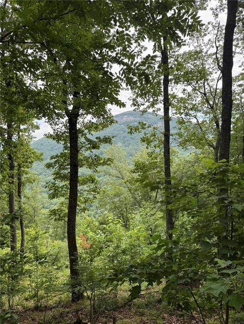23 Mountainside Ct, Cleveland, GA, 30528 | Card Image