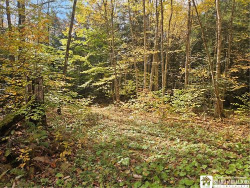 0 Sawmill Run Road, Cold Spring, NY, 14783 | Card Image