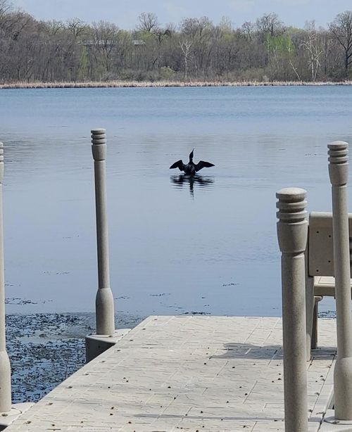 12814 Juniper Rd, Saint Joseph, MN, 56374-8703 | Card Image