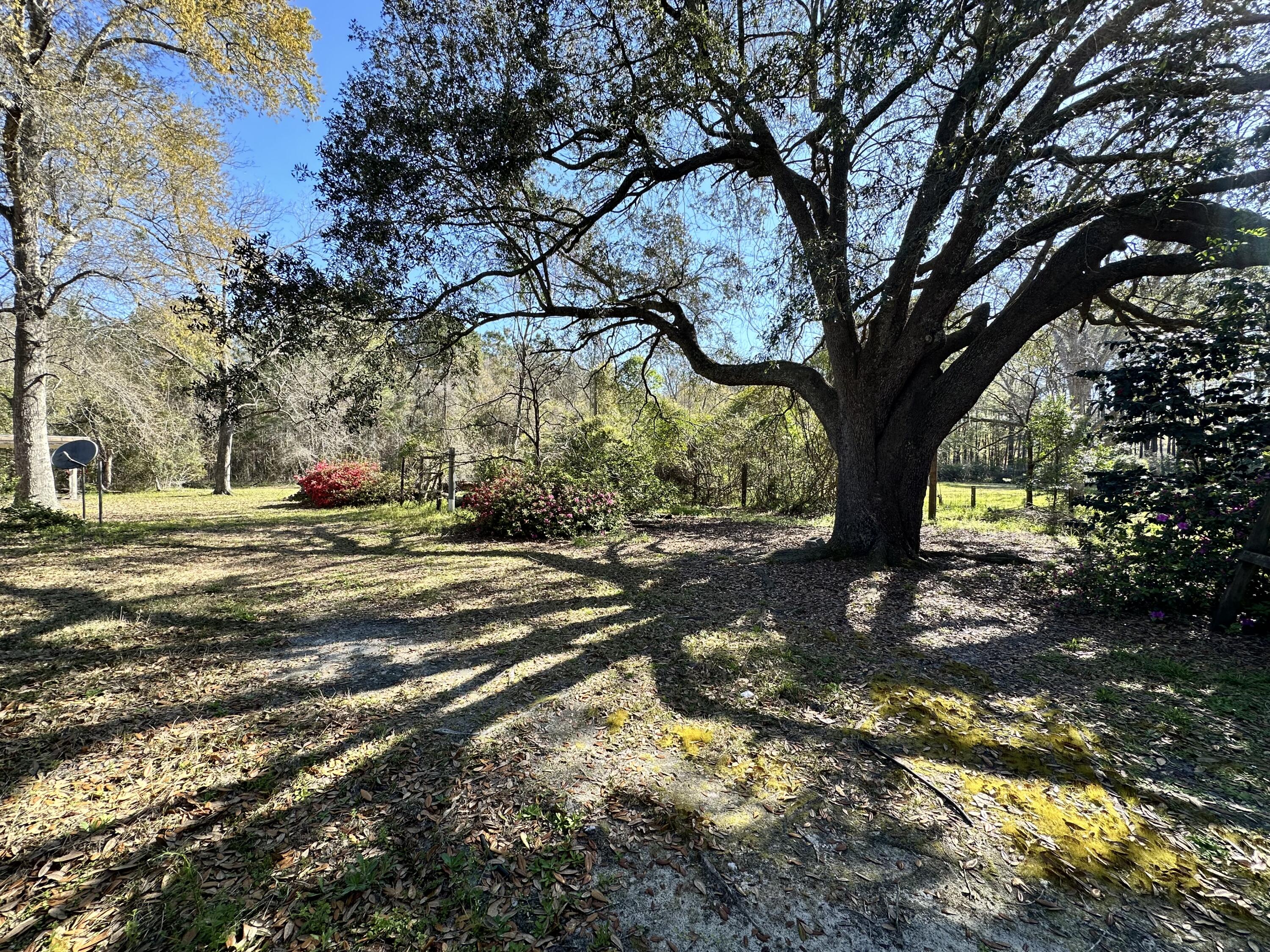 Senior Rd, Kingstree, SC 29556