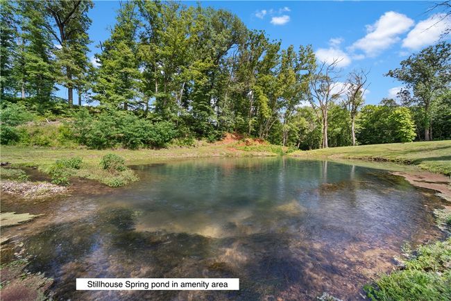 Stillhouse Spring pond-amenity area | Image 8