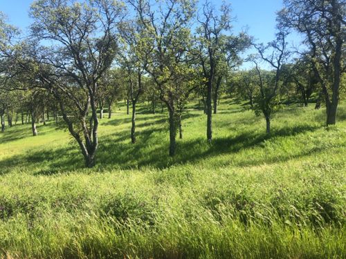 367 Knolls Dr, Copperopolis, CA, 95228-9469 | Card Image