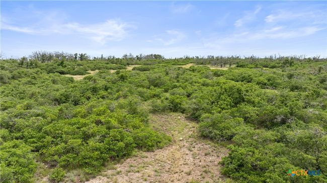 3049 Reservation Rd, Home with 0 bedrooms, 0 bathrooms and null parking in Harper TX | Image 15