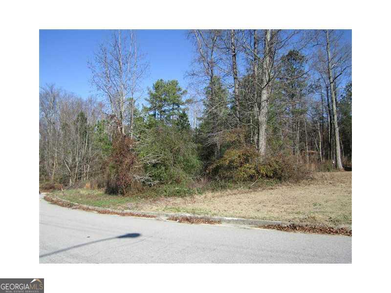 Land in Douglasville 3