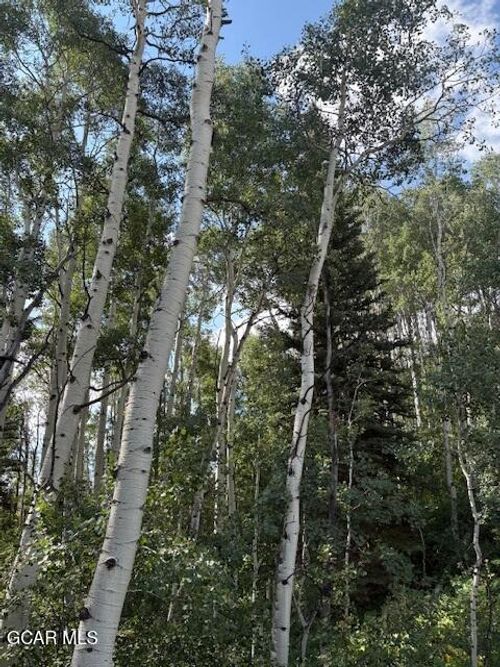 1874 County Road 162, Kremmling, CO, 80459 | Card Image