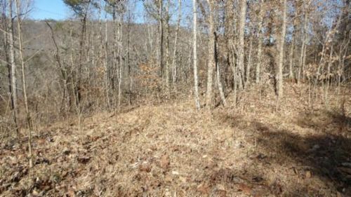 Lot 28 Apache Rd, Jamestown, TN, 38556 | Card Image