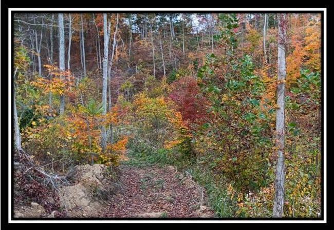 TRACT-1 - 34482 Huston Rd, Home with 0 bedrooms, 0 bathrooms and null parking in Radcliff OH | Image 27