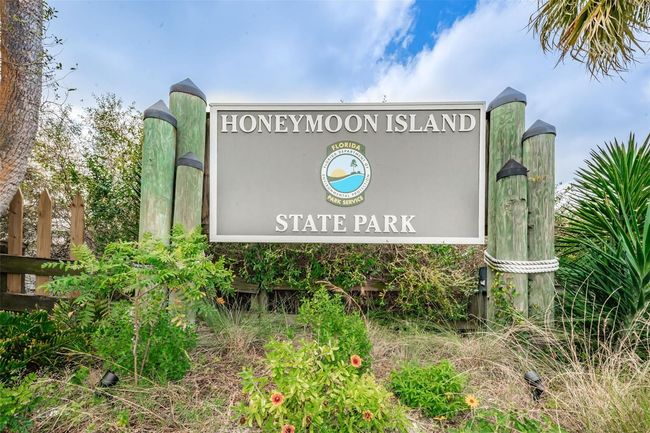 Honeymoon Island is Minutes Away! | Image 69