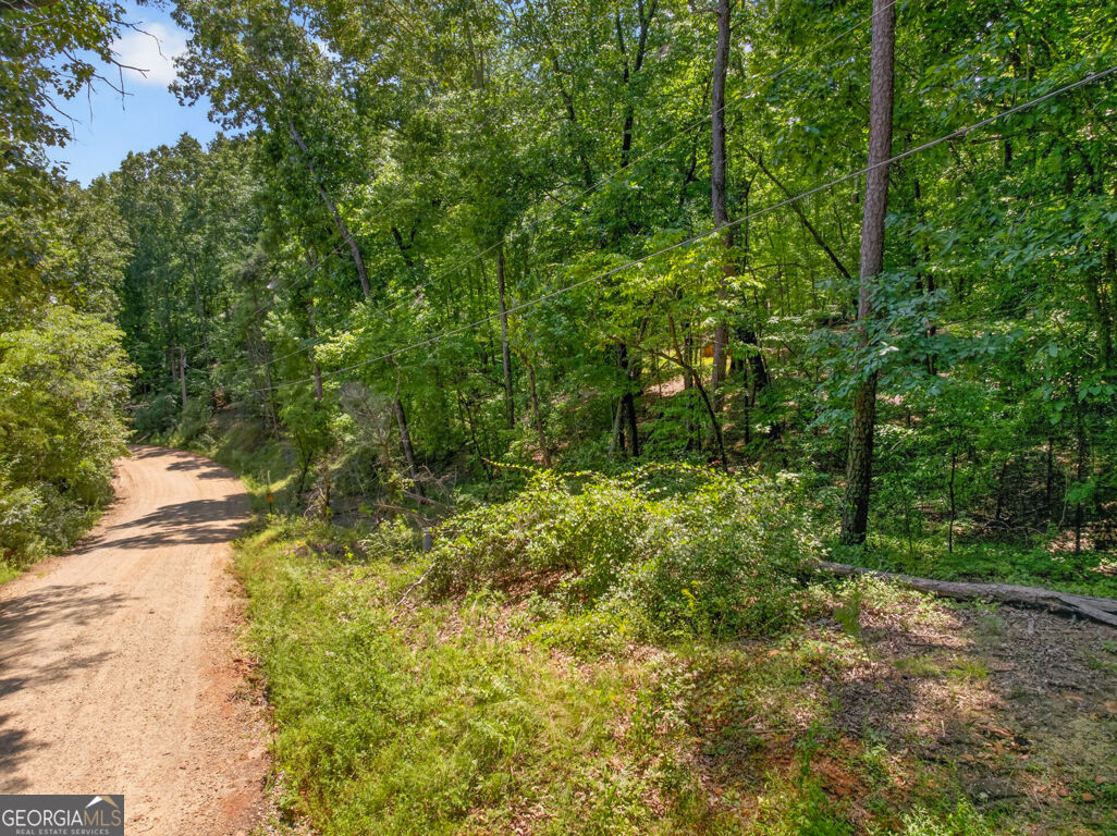 Land in Clarkesville 3
