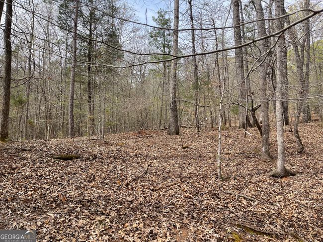 0 Green Oak Cir, Home with 0 bedrooms, 0 bathrooms and null parking in Thomaston GA | Image 25